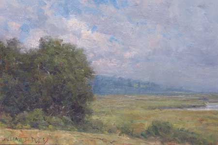 ©W.P. Duffy - Essex Marsh Field Study