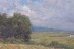 Essex Marsh Field Study © William P. Duffy