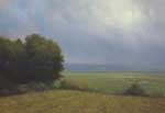 Filtered Light Essex Marsh © William P. Duffy