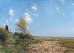 Marsh View © William P. Duffy
