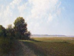White Light in the Marsh © William P. Duffy